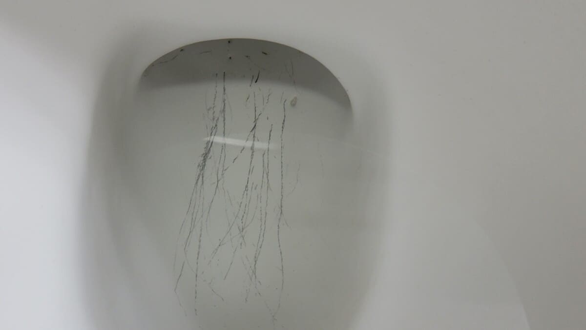 Remove Scratches from a Toilet Bowl in 3 Minutes - Hauger Builders