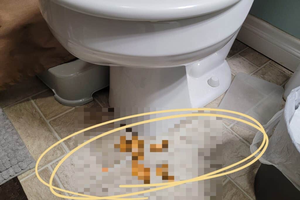 Toilet Overflowing with Poop? Here's What to Do! - Hauger Builders