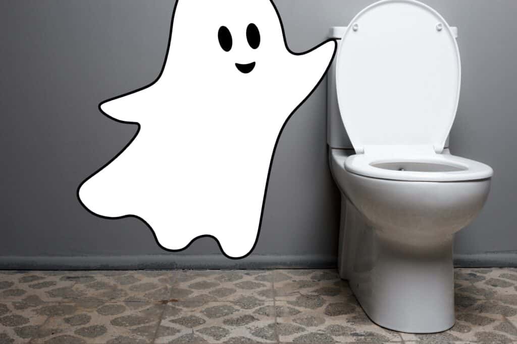 image of a ghost flushing a toilet to conjure the image in the reader's mind of a phantom flush, or a toilet that flushes randomly