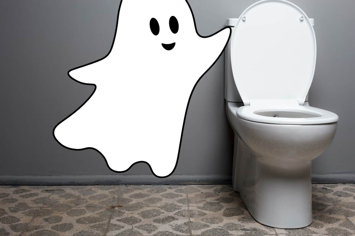 image of a ghost flushing a toilet to conjure the image in the reader's mind of a phantom flush, or a toilet that flushes randomly